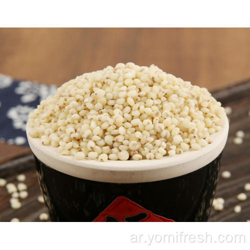 فوائد صحة الأرز الذرة الرفيعة